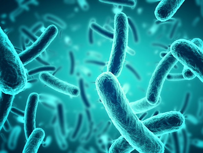 Human Microbiome